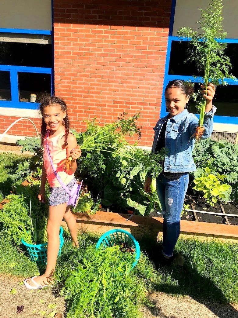 Two PHCSE students harvesting vegetables from the school garden