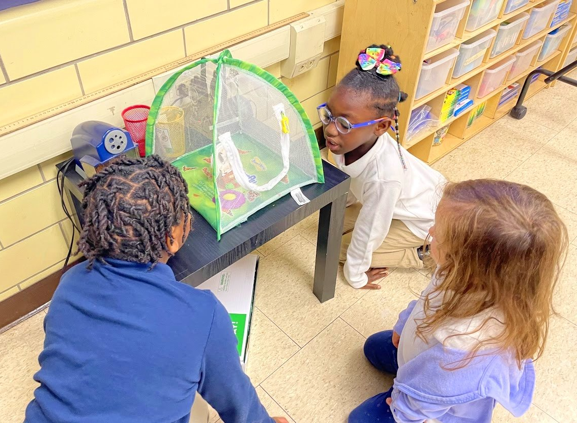 PHCSE children observing caterpillars in a butterfly habitat